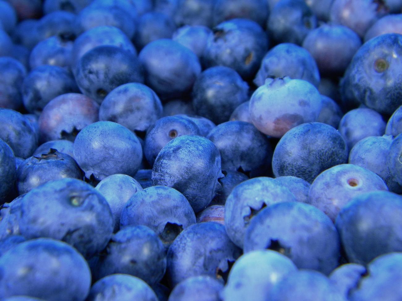 health benefits of blueberries featured