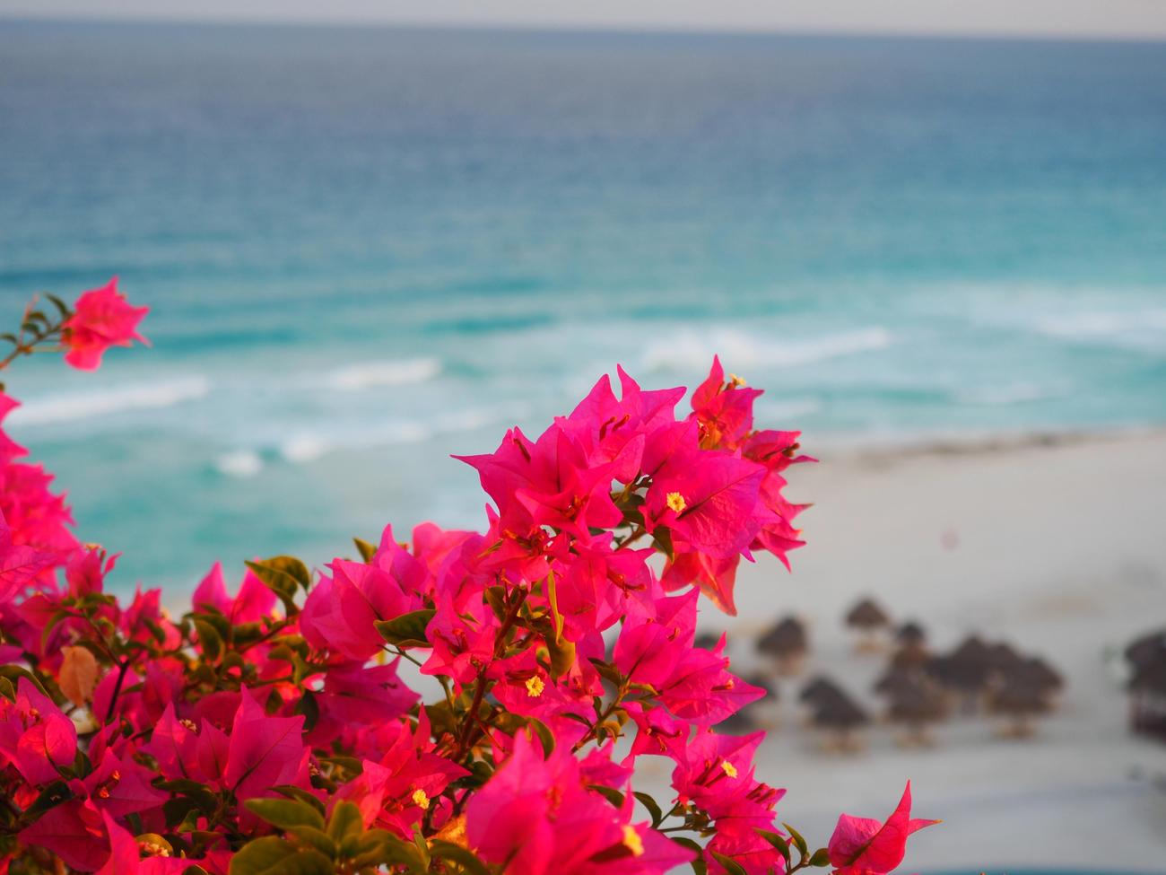 mesmerizing natural wonders in Cancun