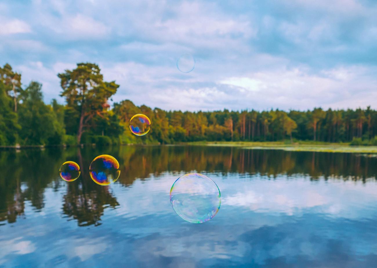 Bubbles in nature