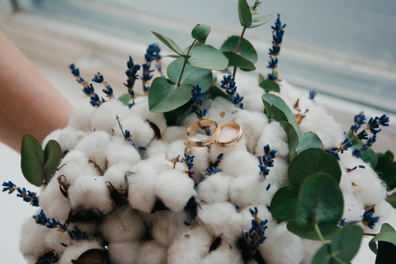fascinating facts about cotton