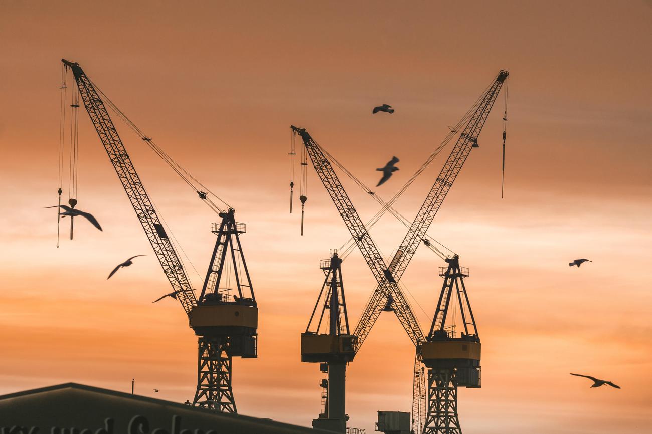 fun facts about cranes