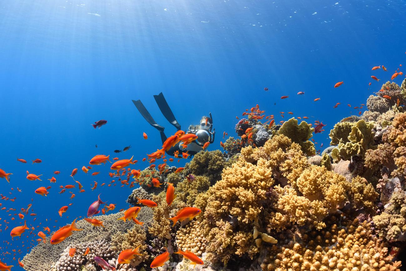 which of the following indicates scuba diving or snorkeling activity