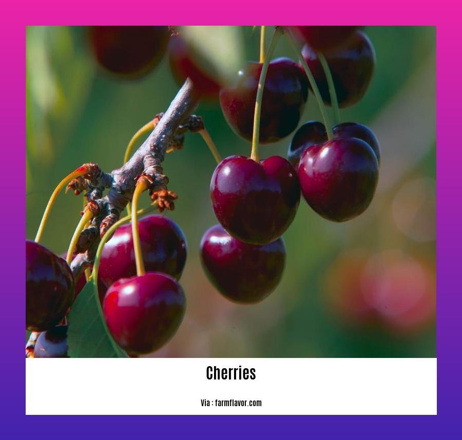 10 health benefits of cherries 2