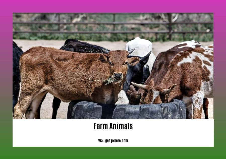 Unveiling the Versatility: 10 Uses of Farm Animals Beyond Traditional ...