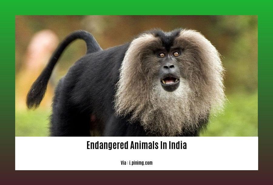 Captivating Images And Informative Facts: Unveiling The 5 Endangered ...