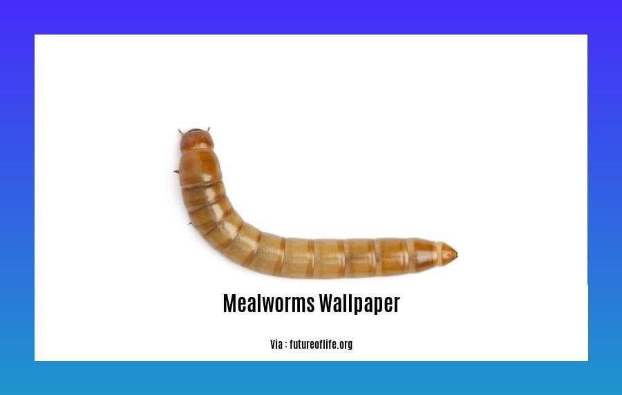 Are Mealworms Dangerous? Examining the Risks and Safety of Consuming