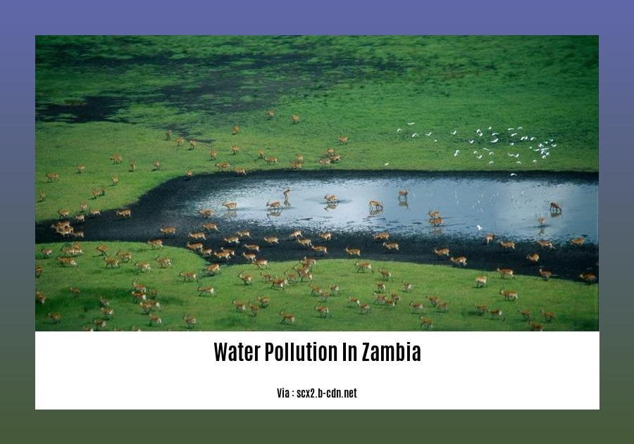 Unveiling the Causes of Water Pollution in Zambia: Exploring the ...