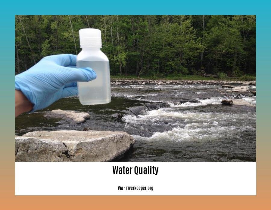 Common water quality tests 2