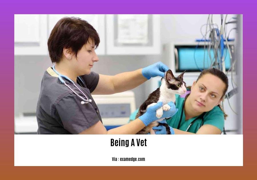 Cool facts about being a vet 2