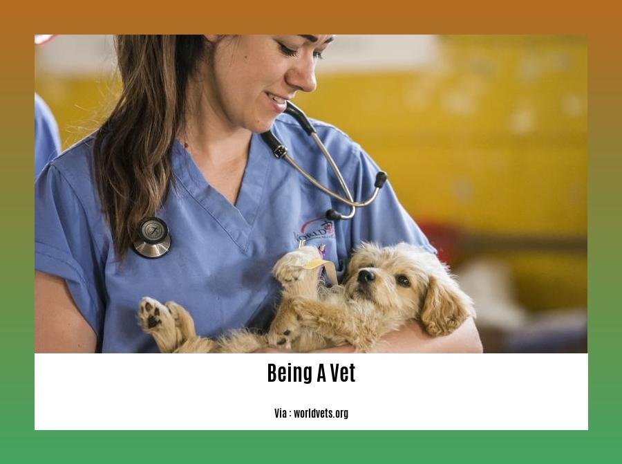 Cool facts about being a vet