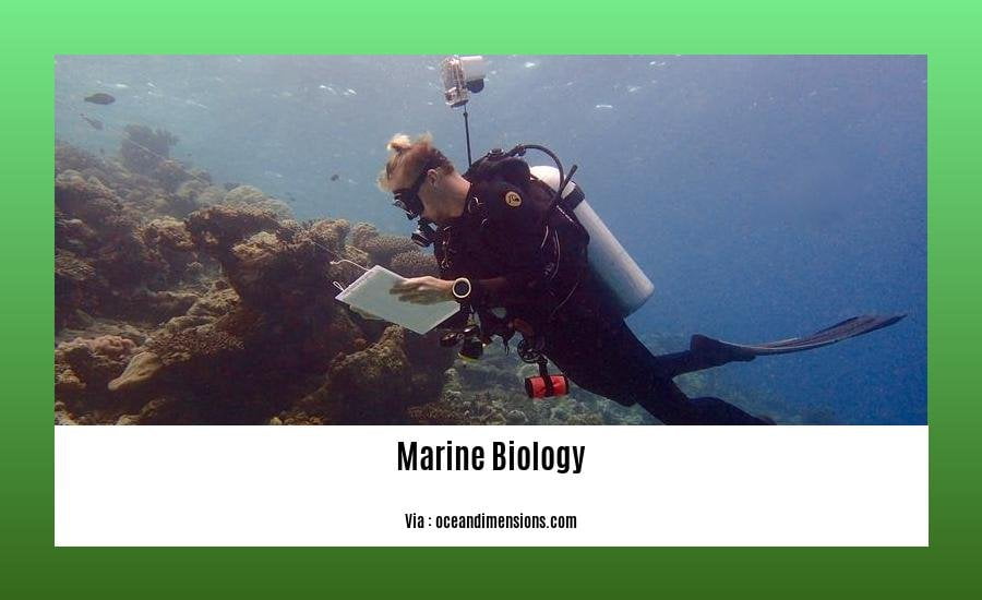Cool facts about marine biology