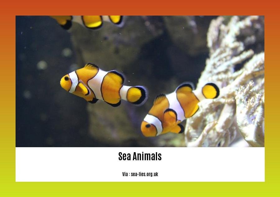 Crazy facts about sea animals 2