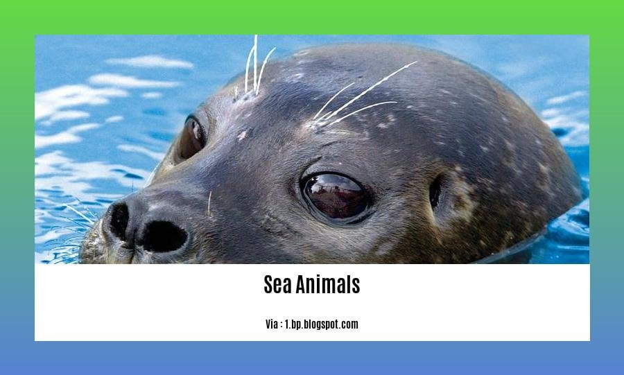 Crazy facts about sea animals