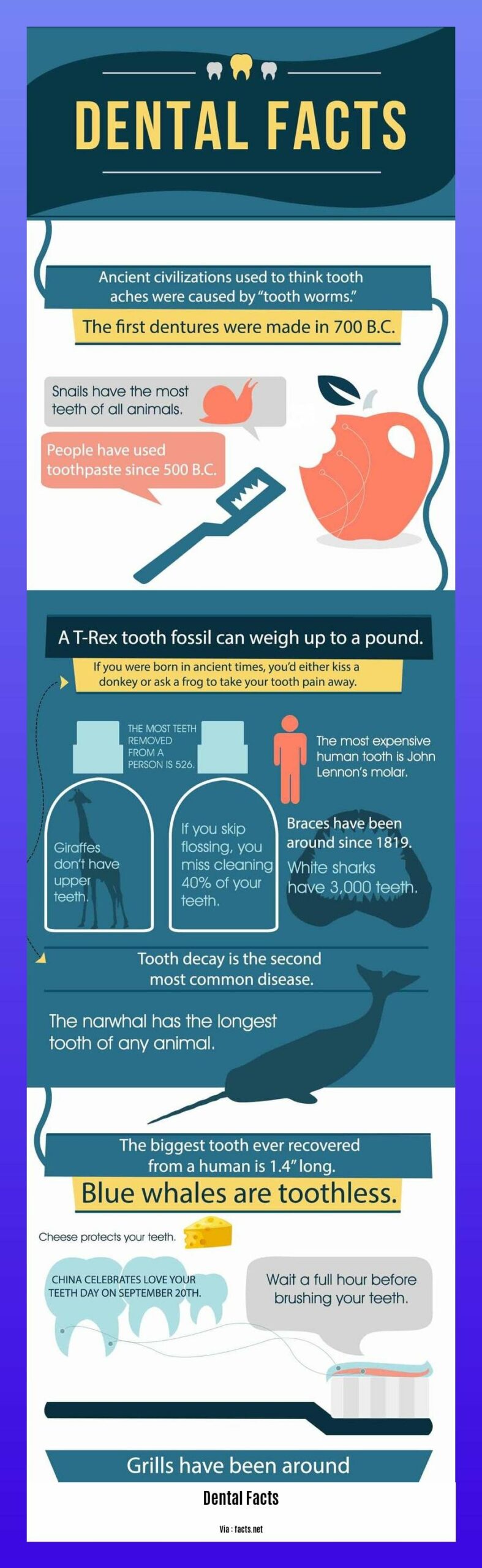Did you know dental facts