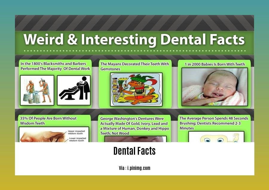 Did you know dental facts 2