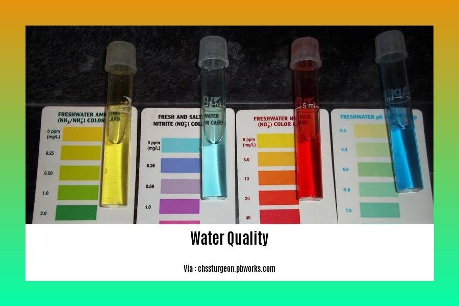 Different types of water quality tests