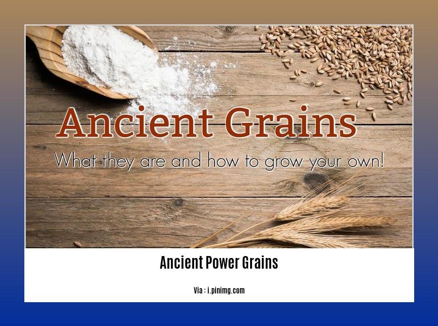 ancient power grains