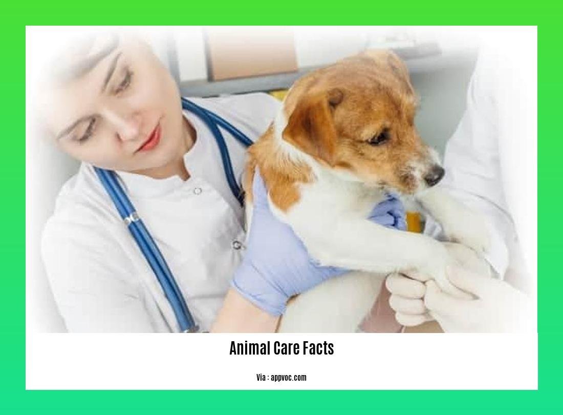 animal care facts