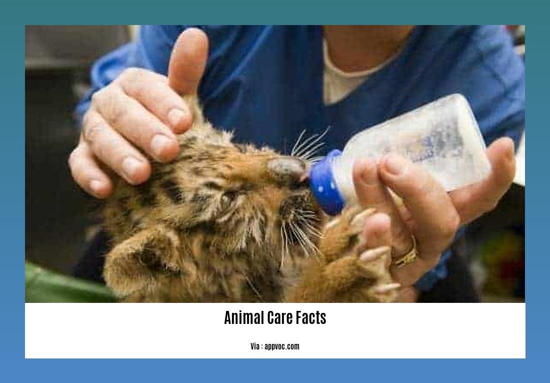 animal care facts 2