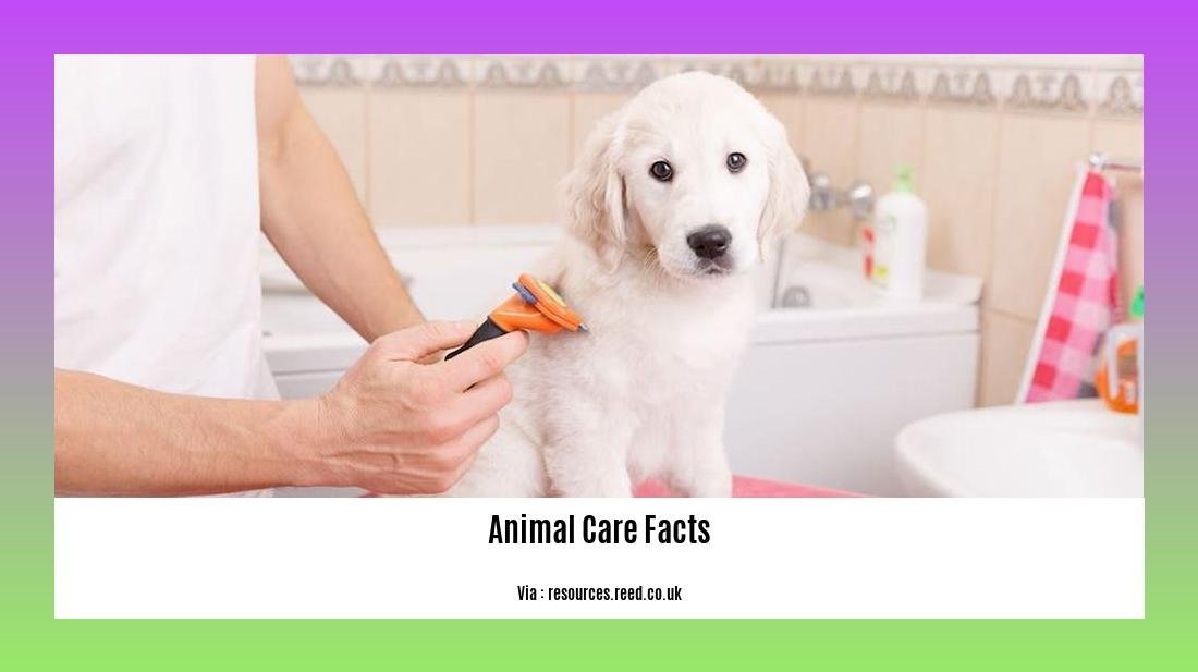 animal care facts