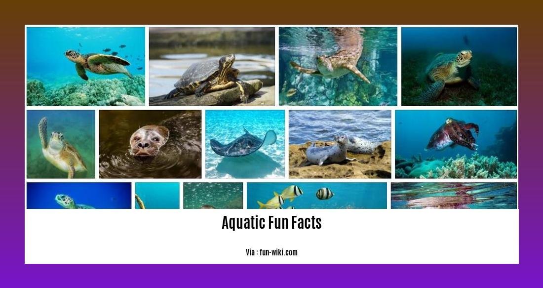 dive-into-delights-exploring-aquatic-fun-facts-with-a-marine-biologist