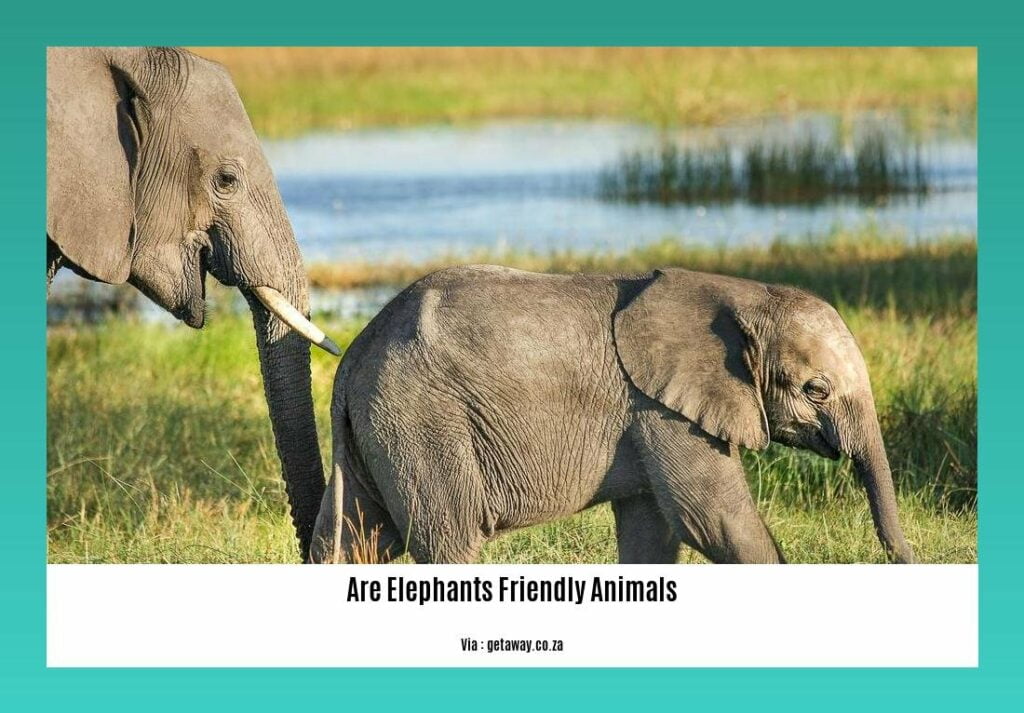 Are Elephants Friendly Animals? Dispelling Myths and Highlighting Their