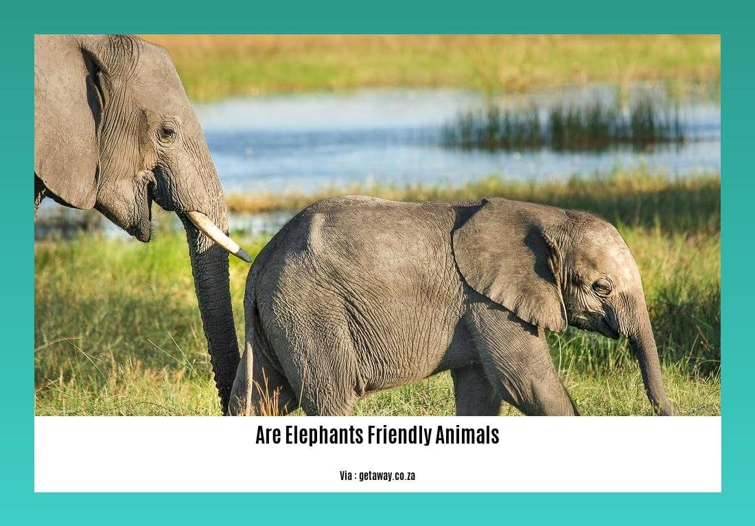 are elephants friendly animals 2