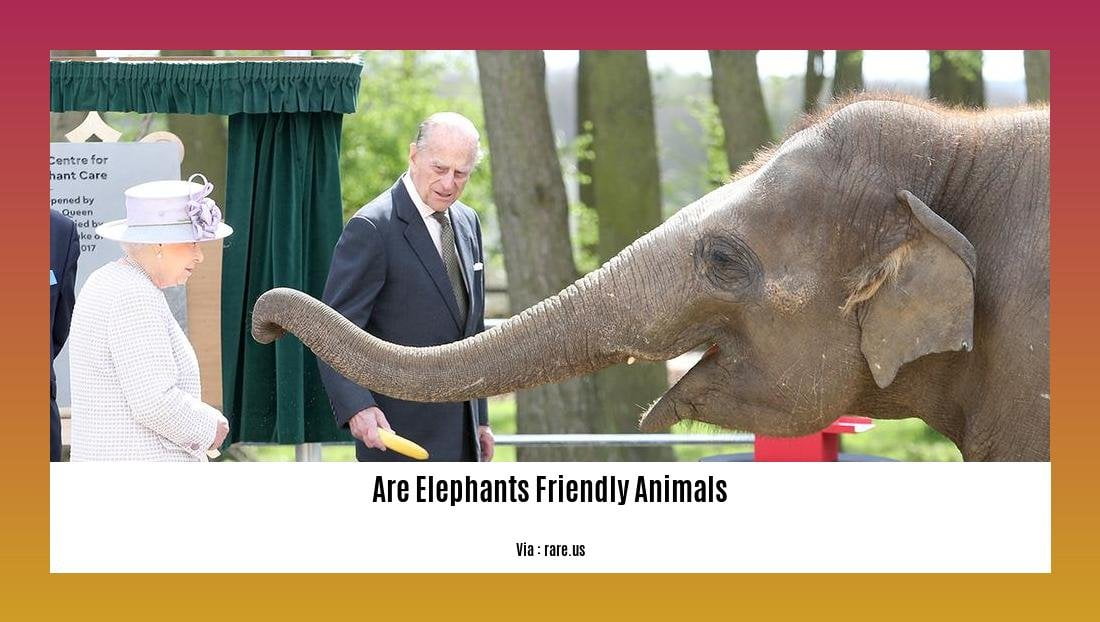 are elephants friendly animals