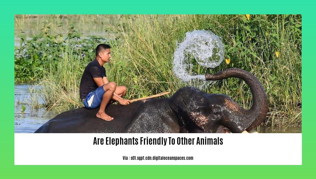 are elephants friendly to other animals