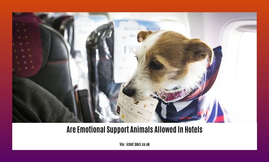 are emotional support animals allowed in hotels