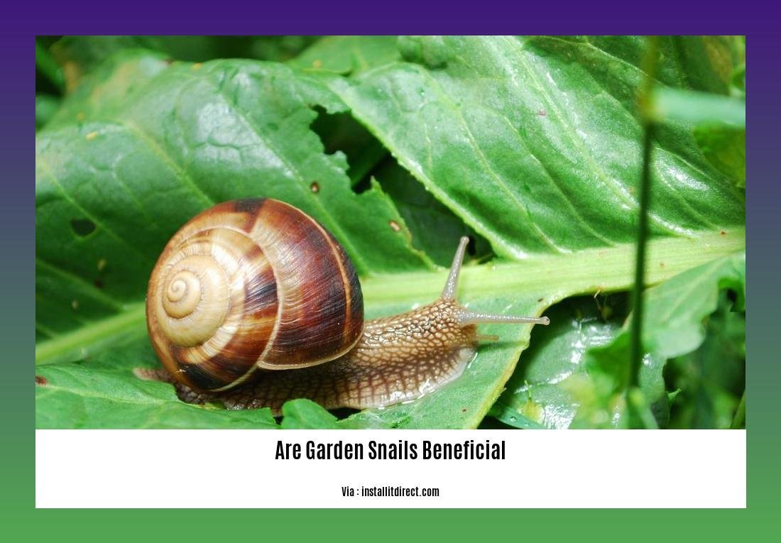 are garden snails beneficial 2