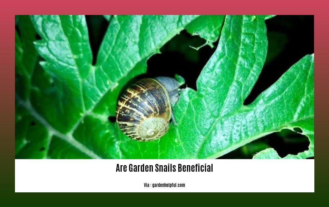 are garden snails beneficial