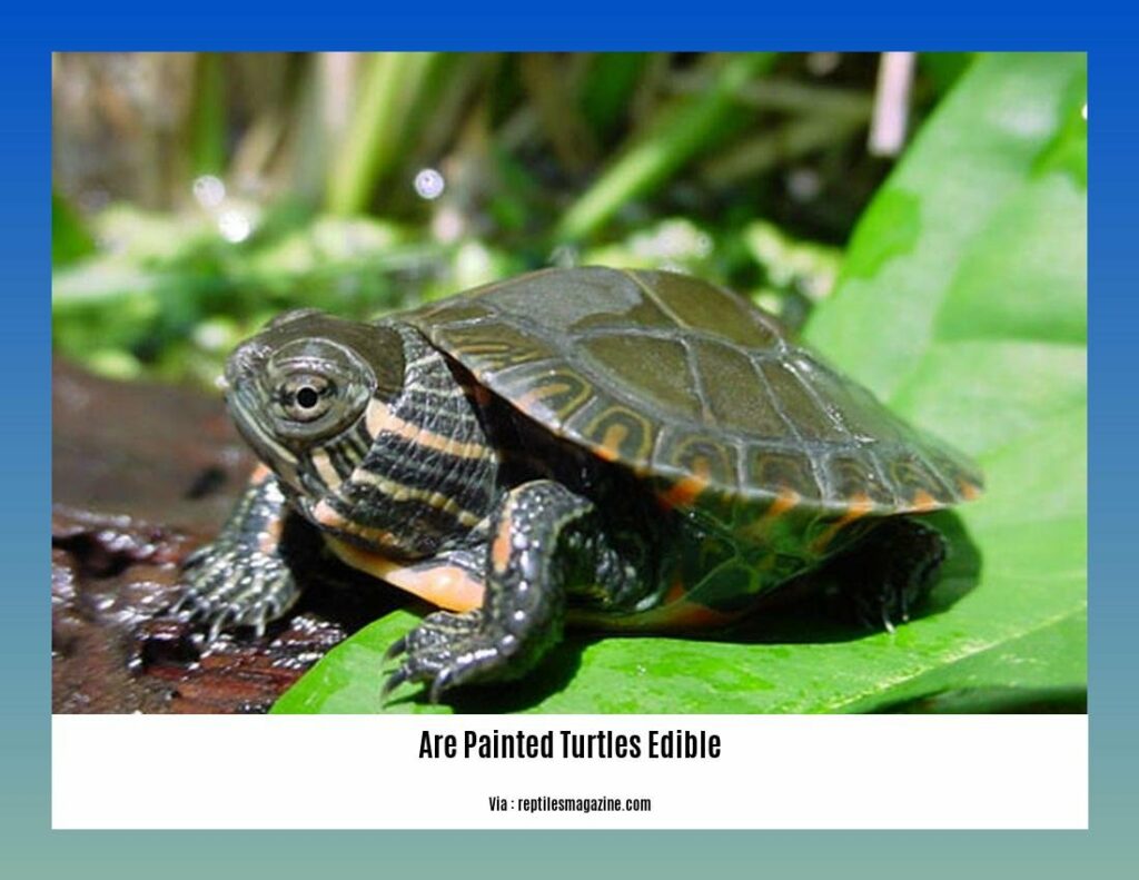 Are Painted Turtles Edible? Exploring the Edibility and Cultural ...