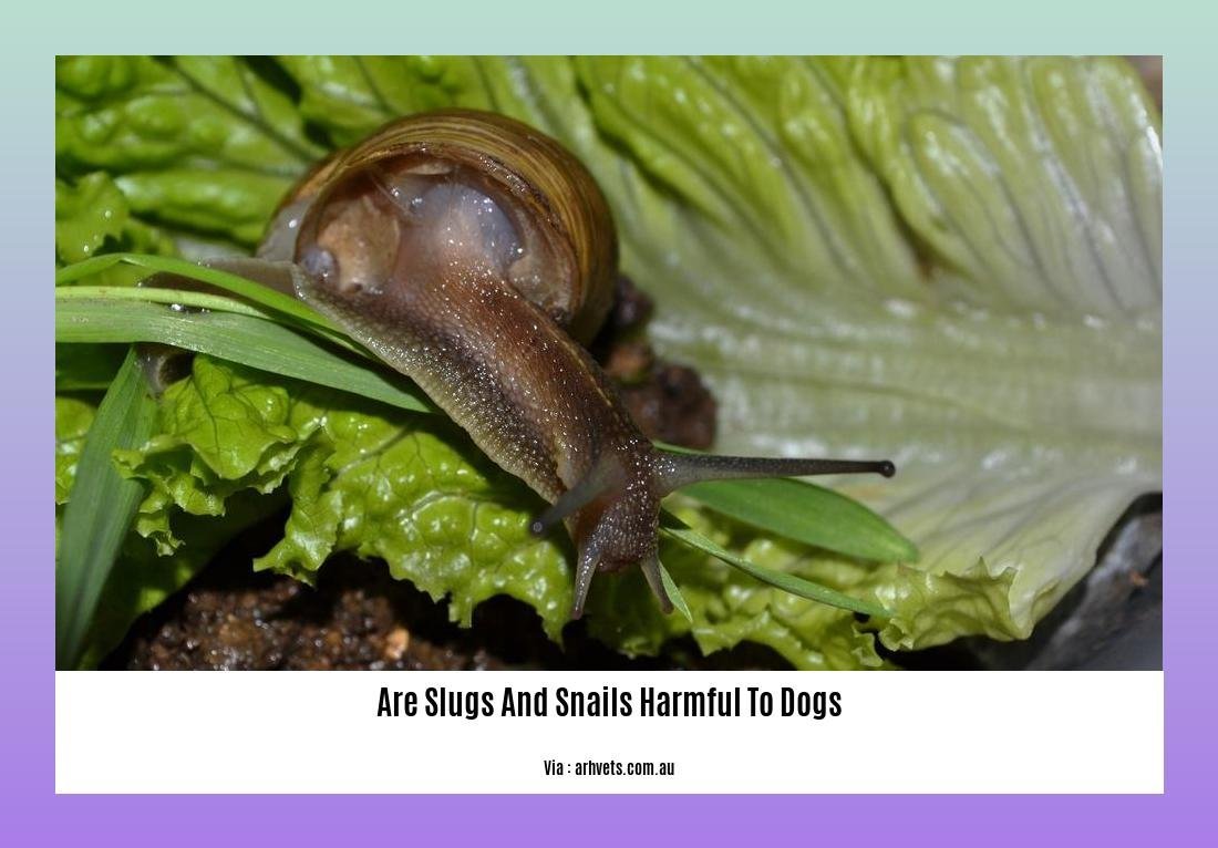 are slugs and snails harmful to dogs