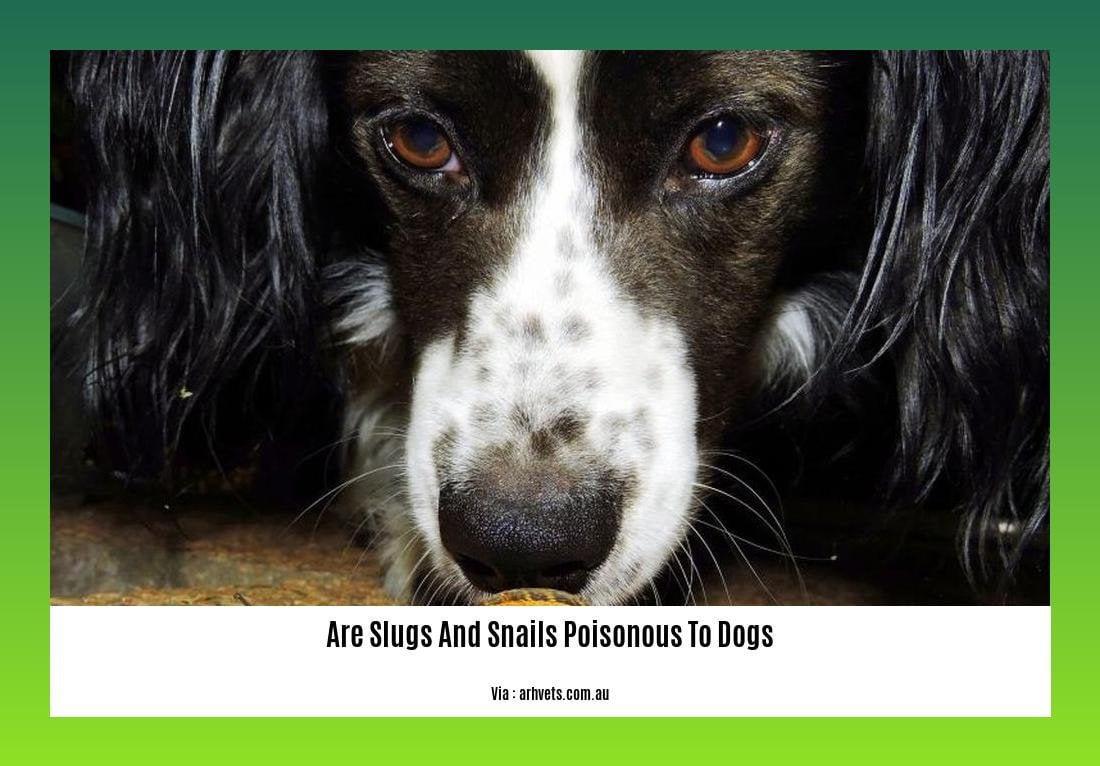 are slugs and snails poisonous to dogs