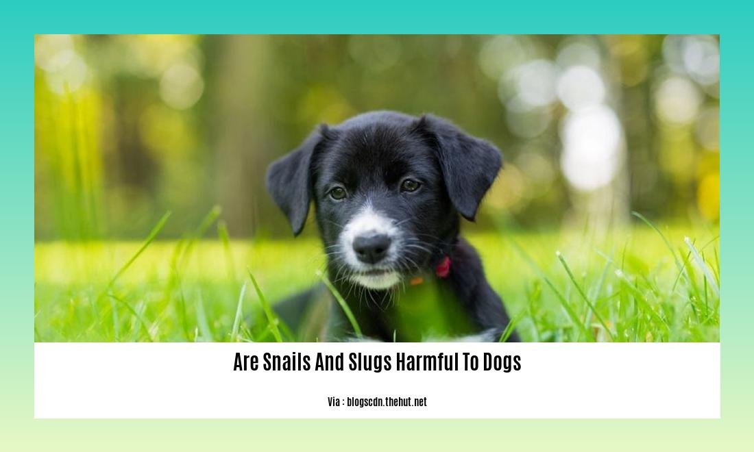 are snails and slugs harmful to dogs 2