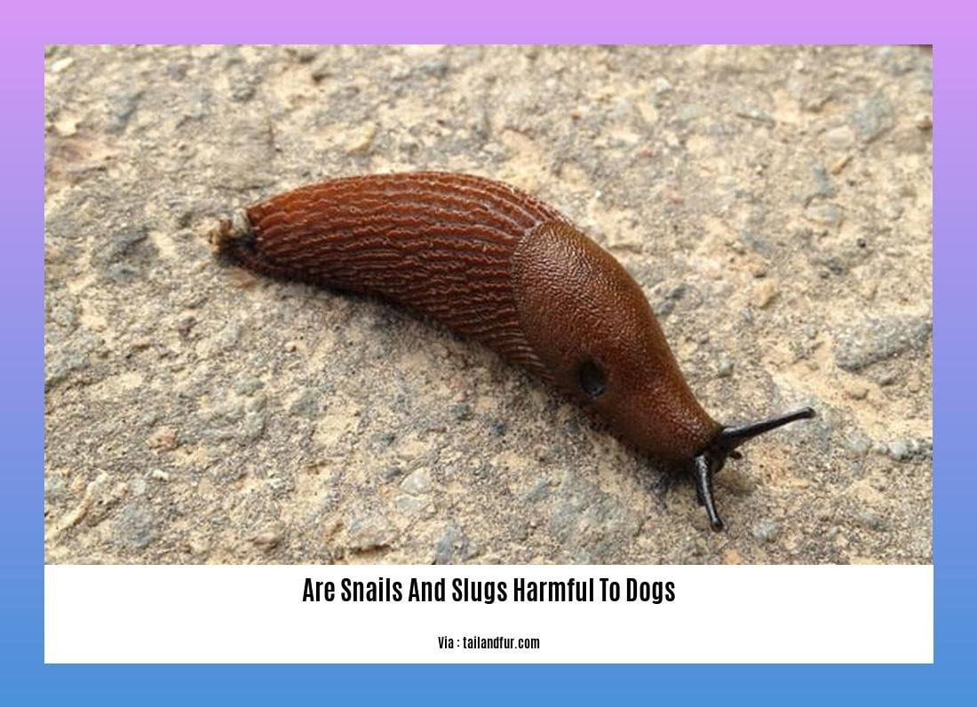 are snails and slugs harmful to dogs