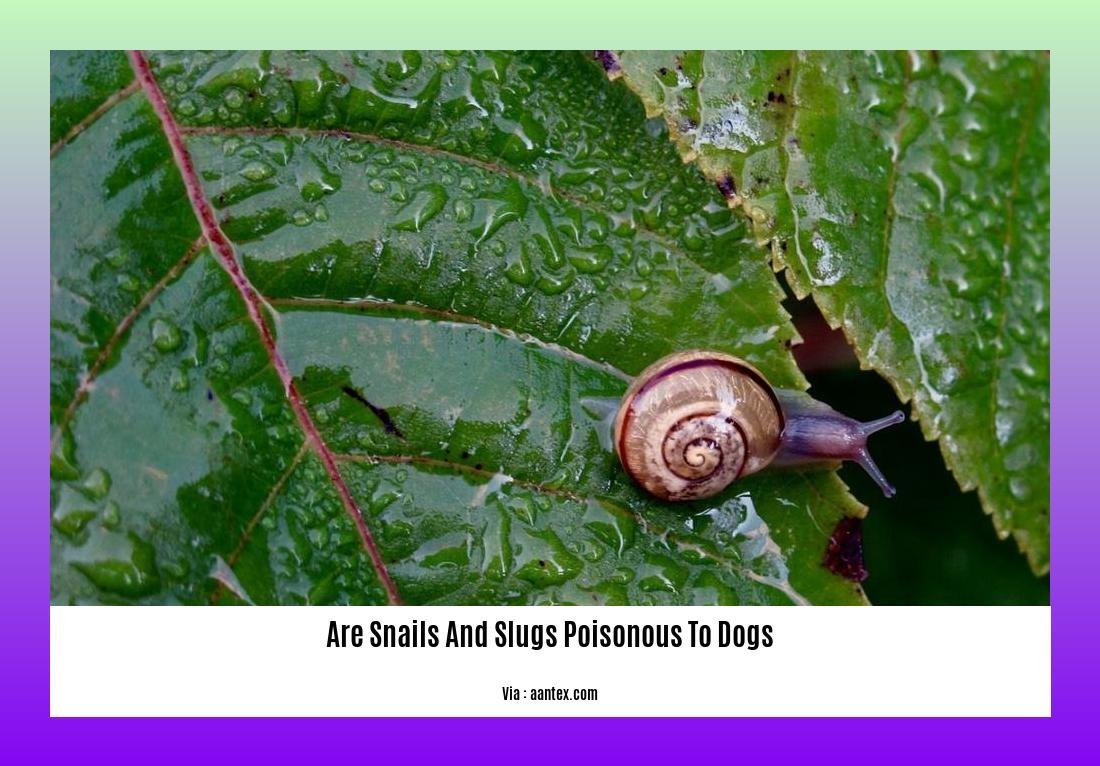 are snails and slugs poisonous to dogs 2