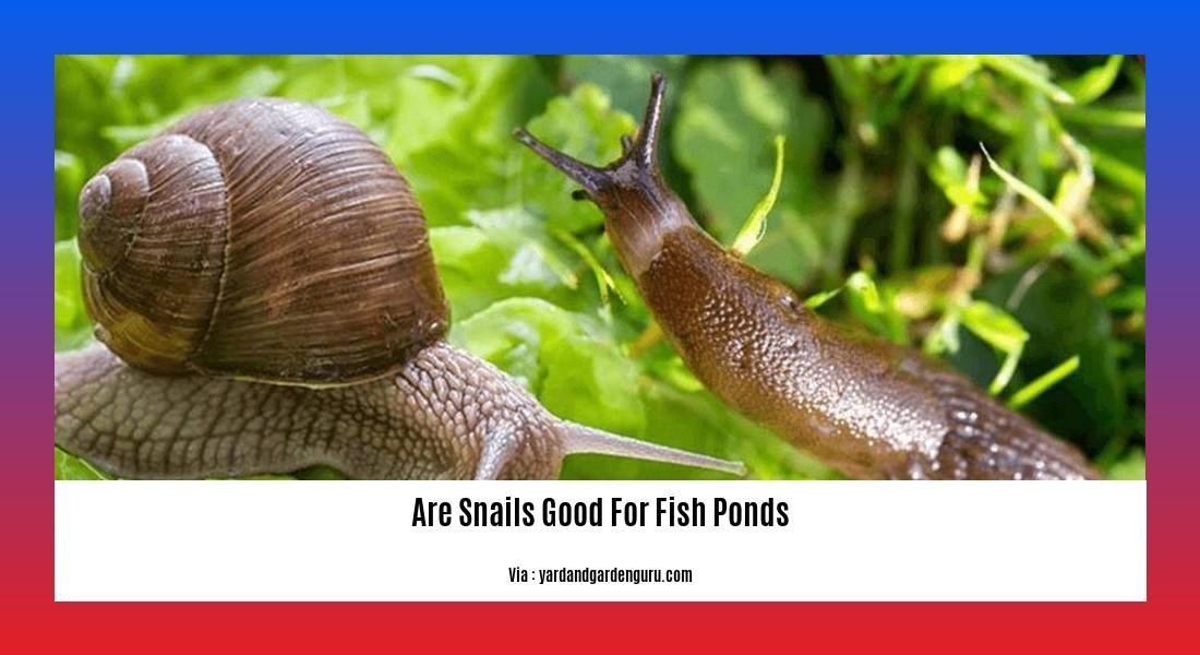 are snails good for fish ponds