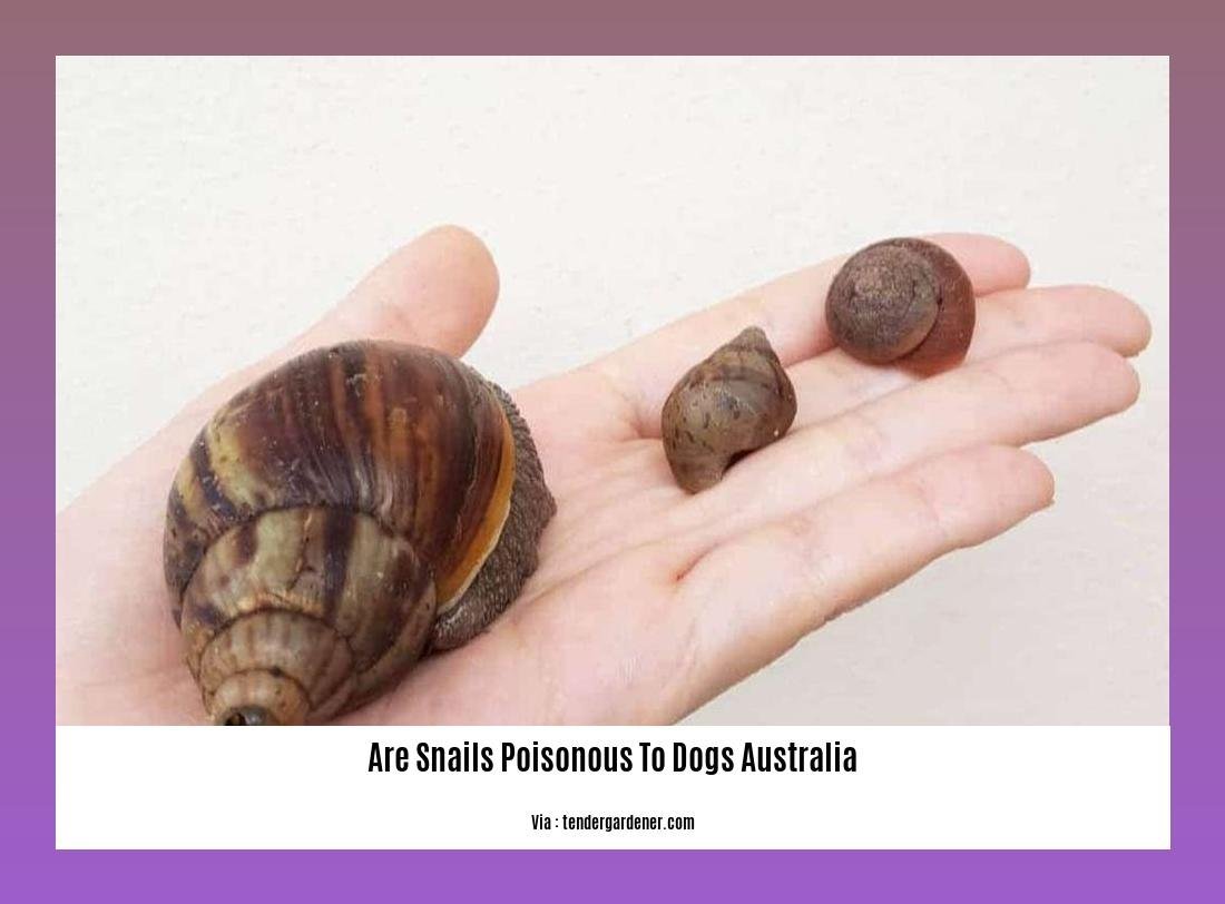 are snails poisonous to dogs australia 2