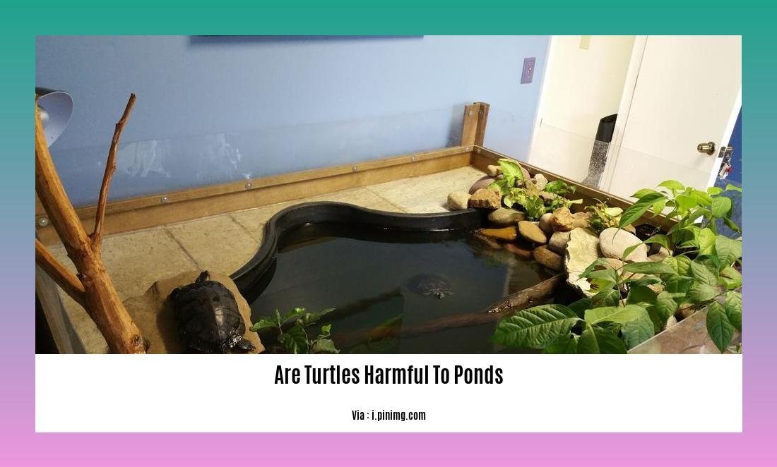 are turtles harmful to ponds