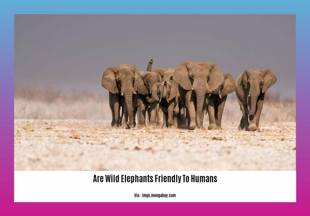 Are Wild Elephants Friendly to Humans? Understanding the Intricate ...