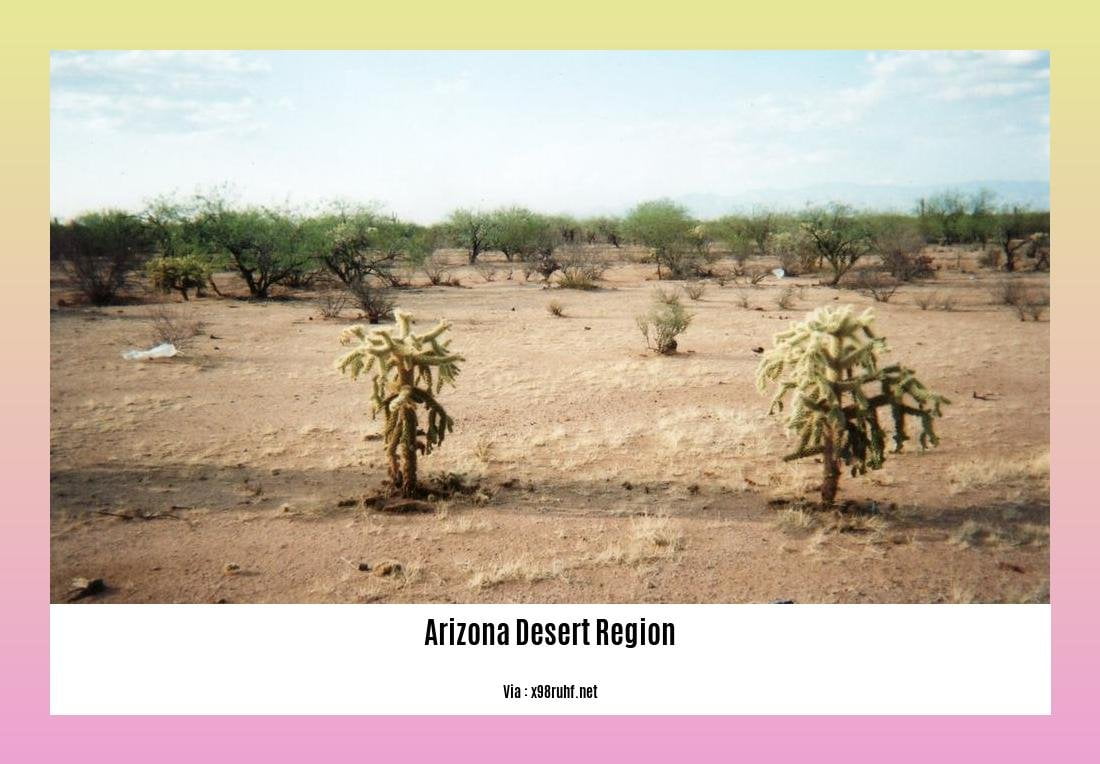 arizona desert region facts