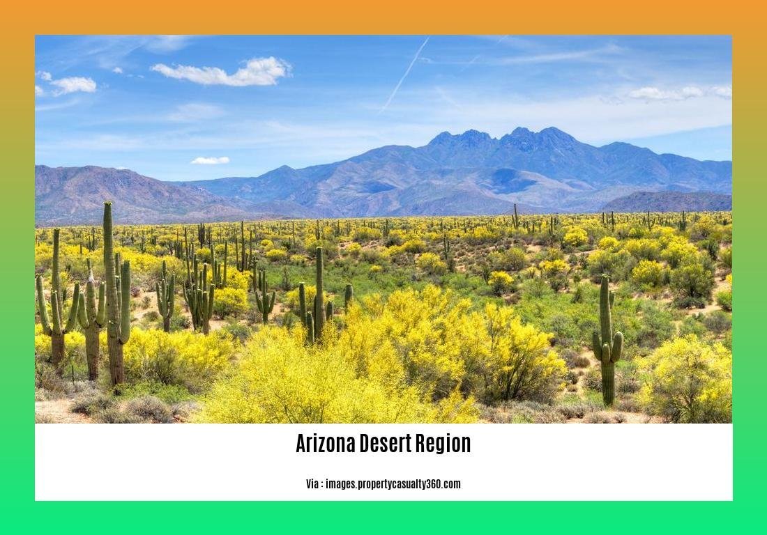 arizona desert region facts