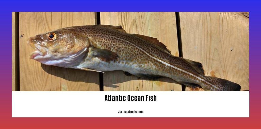 atlantic ocean fish list