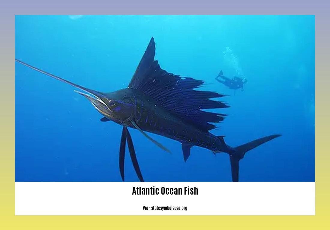 atlantic ocean fish list 2