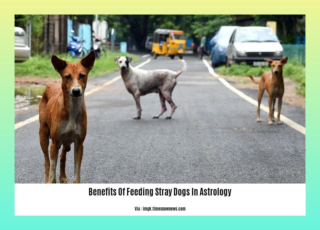 benefits of feeding stray dogs in astrology
