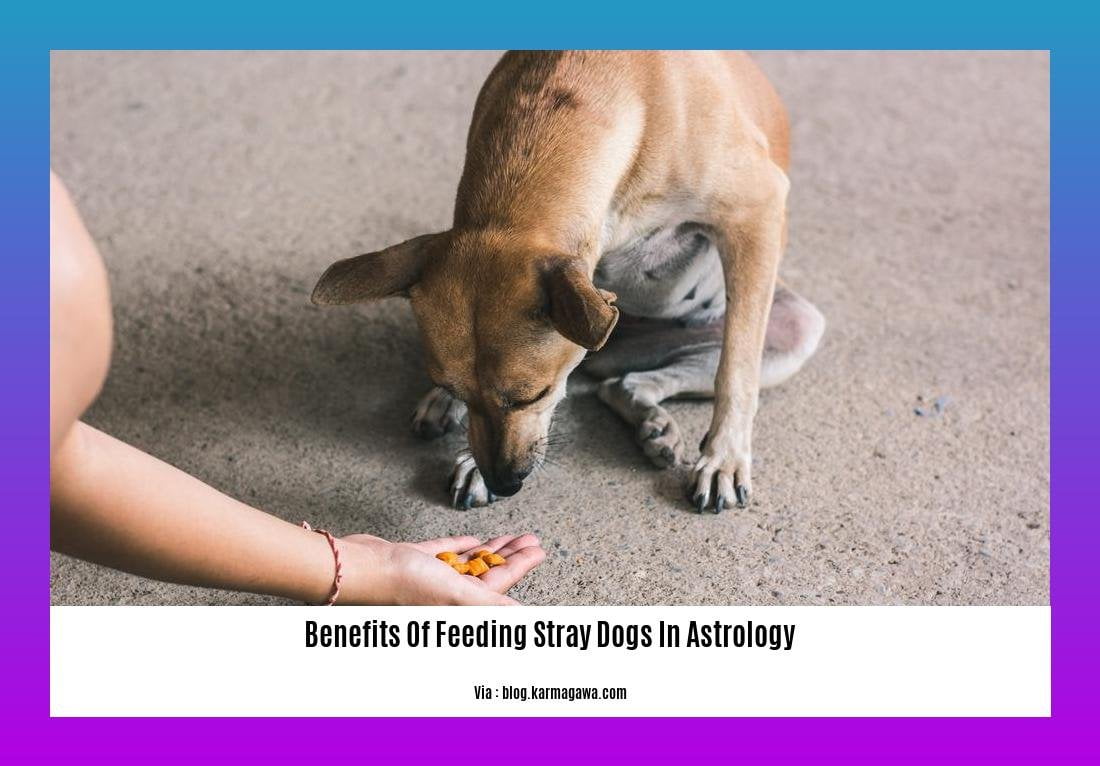 benefits of feeding stray dogs in astrology 2
