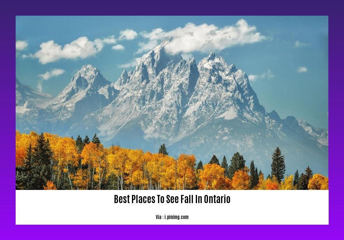best places to see fall in ontario
