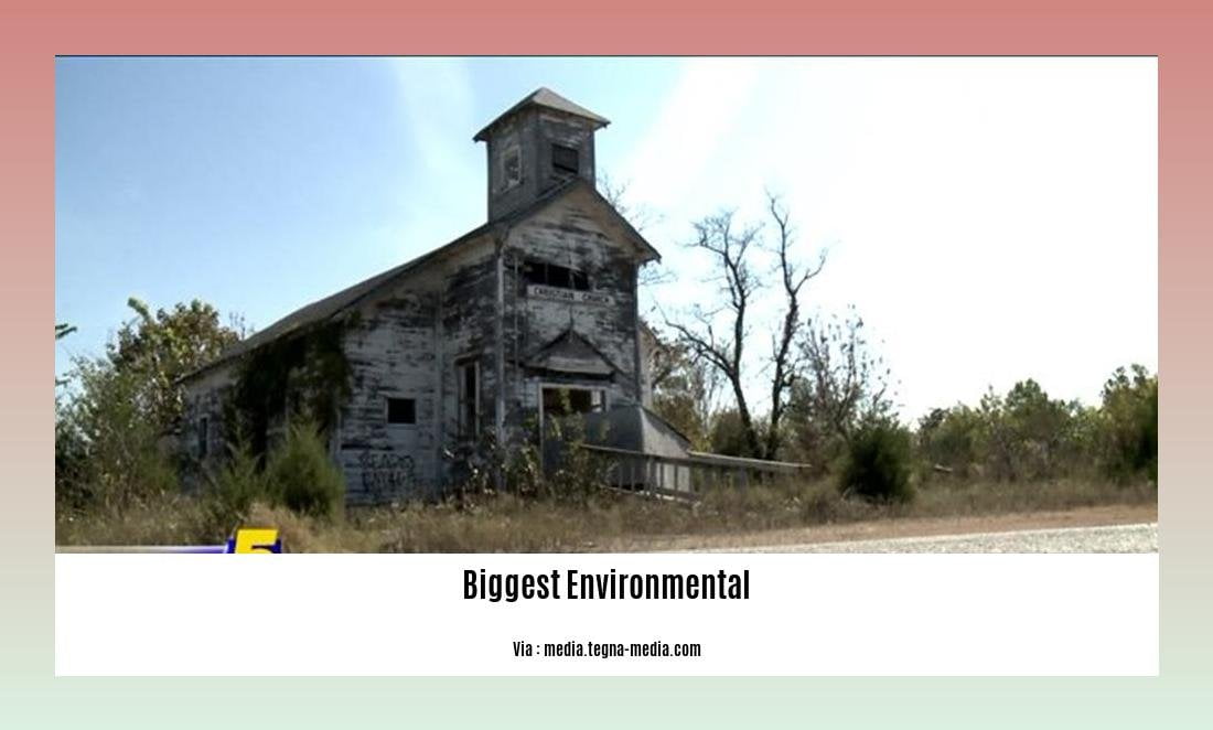 biggest environmental issues in the world